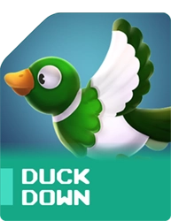 DD000001